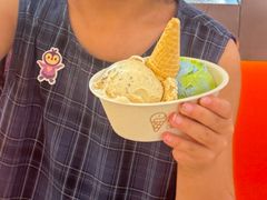 -极拉图·现制冰淇淋(大卫城店)