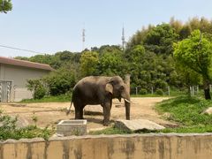 -宁波野生动物园