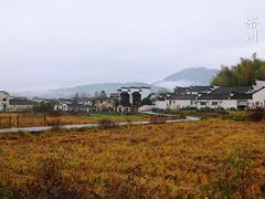 -塔川景区