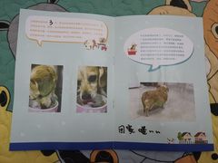 -美联众合动物医院·24h转诊中心