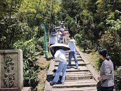 -长沙黑麋峰国家森林公园