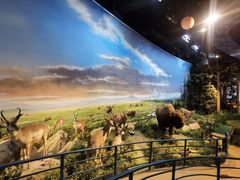 -陕西自然博物馆