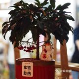 新店寫實｜包樂Bread Lok咖啡