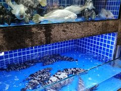 水产区-徐记海鲜(梅溪新天地店)
