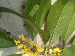 -镇江市南山风景名胜区竹林景区