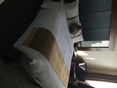 -上海浦东假日酒店