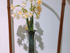 -茶是一枝花泡茶店