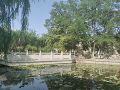 -莲湖公园