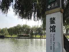 -白洋淀景区