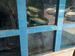 水产区-红星光发煲仔饭(大石街店)