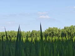 -嘉北郊野公园