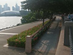 -深圳湾公园(南山区)