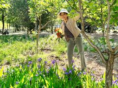 -天津东丽湖风景区