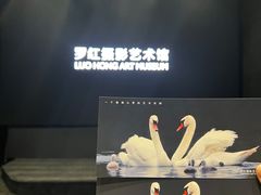 -罗红摄影艺术馆