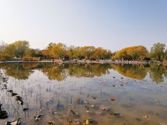 -太阳宫公园