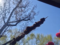 -聚德华天烤肉季·宴会厅(什刹海总店)