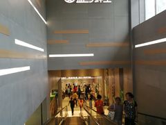 -盒马鲜生(红莲店)