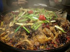 老板恋上鱼-老板恋上鱼(环山路店)