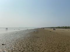 -合肥滨湖国家森林公园