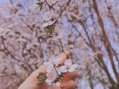 -白鹭湾湿地公园