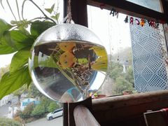 -马灯部落·西湖边的创意山景餐厅(虎跑动物园店)