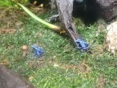 -新加坡海洋生态馆
