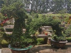 -广东圆玄道观
