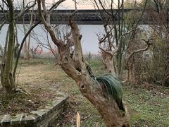 -木子山庄·安徽省老字号·中国炖锅宴