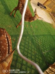 -萌宠亲子动物乐园(槐房万达店)