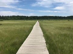 -塞罕坝国家级自然保护区