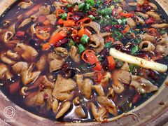 肥肠砂锅大份-马头巷·食景园(苏州总店)