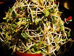 -燕郊烧鸽子(广安路店)