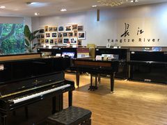 -柏斯琴行(汾阳店)