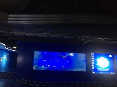 -重庆欢乐海底世界