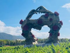 -亚龙湾国际玫瑰谷
