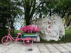 -金鸡湖桃花岛
