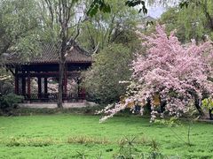 -棠湖公园