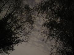 -汉长安城未央宫国家考古遗址公园