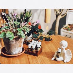 -芳香乐府疗愈空间·SPA·冥想