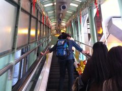 -中环半山扶手电梯