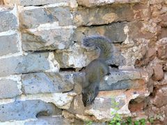-蟠龙山长城景区