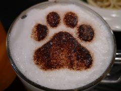 -猫小院猫主题咖啡厅(北锣店)