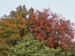 -云龙湖旅游景区