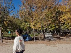 -东郊湿地公园