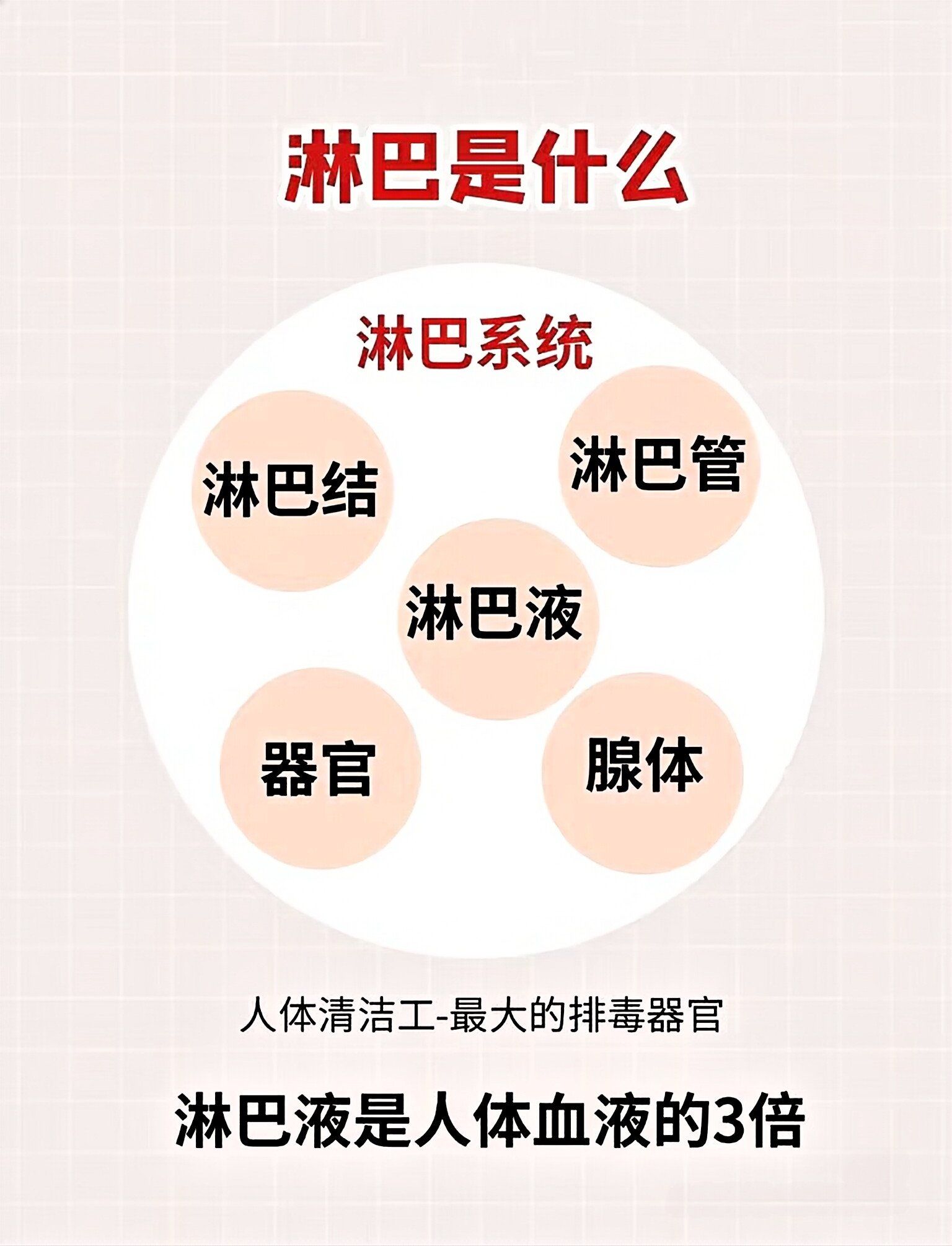 淋巴液是什么疏通淋巴的好处