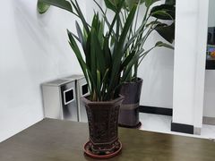 -中国农业银行(武汉洪山支行营业室)