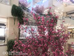 -晓宇重庆火锅(赛格国际购物中心店)