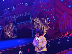 -珠海横琴长隆《卡卡虎奇遇记》