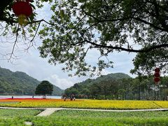 -广州市石门国家森林公园