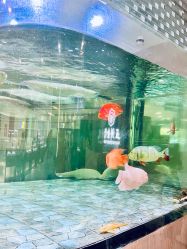 -五洲金行FIDIMO(五洲黄金大厦店)